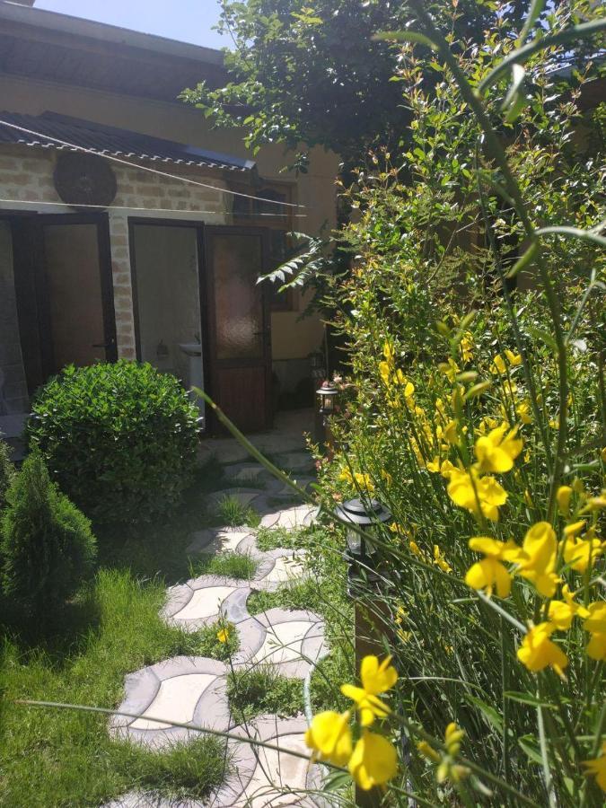 Sim Sim Hostel & Guest House Near The Church サマルカンド エクステリア 写真