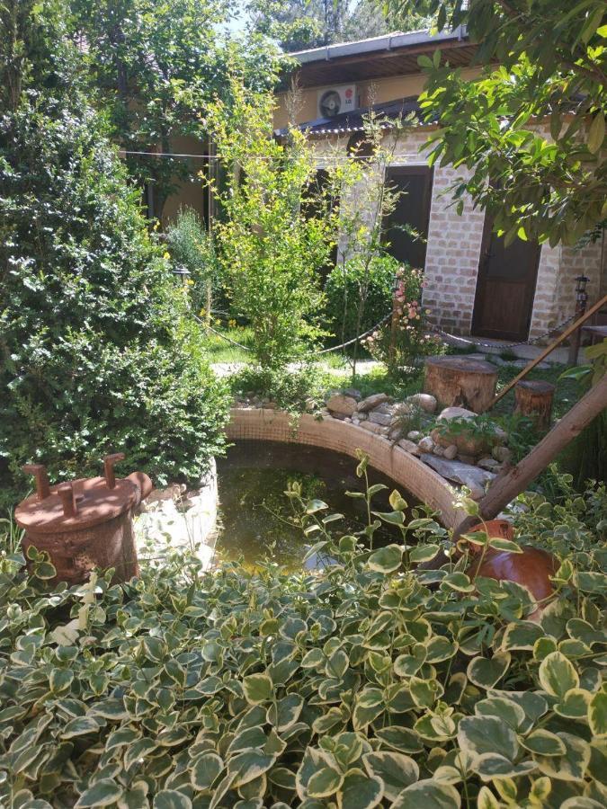 Sim Sim Hostel & Guest House Near The Church サマルカンド エクステリア 写真