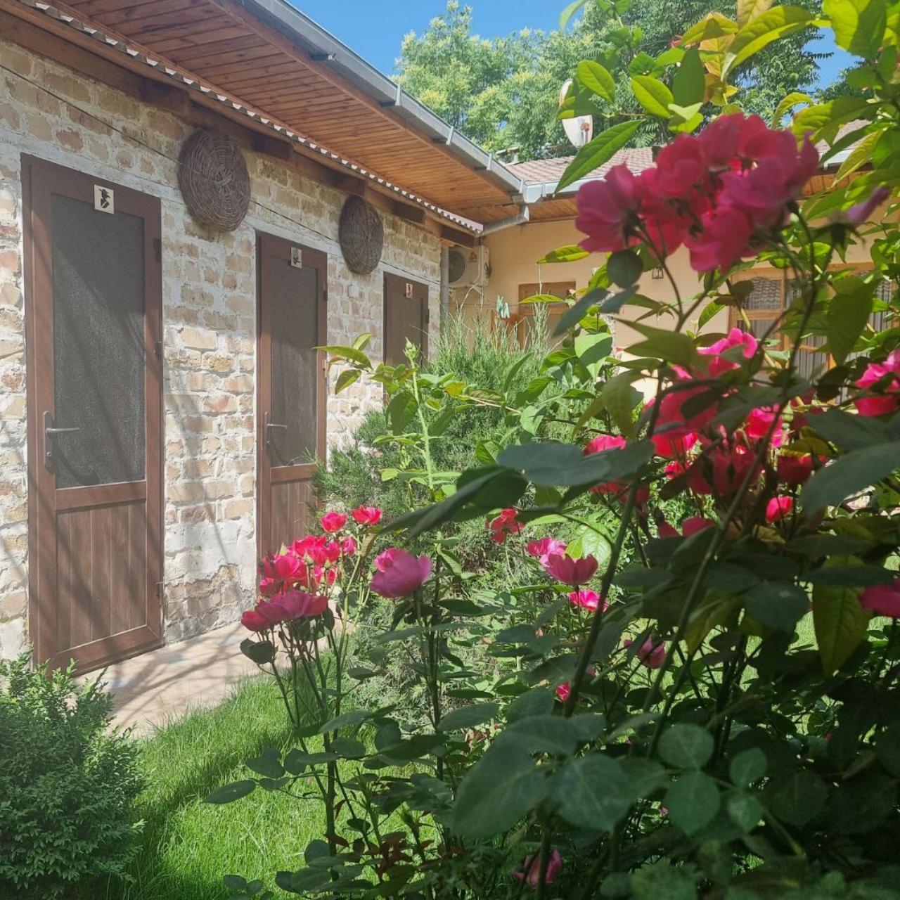 Sim Sim Hostel & Guest House Near The Church サマルカンド エクステリア 写真